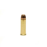 Imagem de MUNIÇÃO CBC ETPP TREINA 158GR CAL.38SPL (CX C/50)